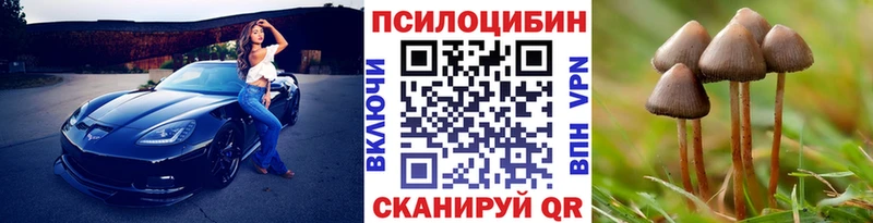 наркошоп  ОМГ ОМГ tor  Псилоцибиновые грибы GOLDEN TEACHER  Северск 