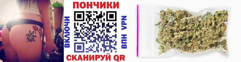 Бошки Шишки OG Kush Северск
